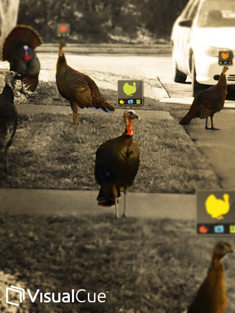 Even turkeys need real-time performance data.