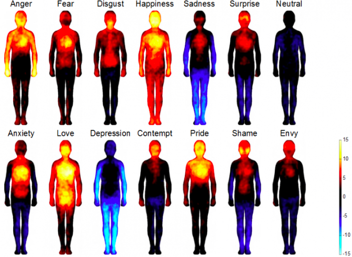 body data visualization 